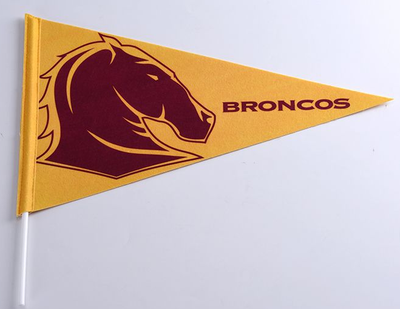 Polyester Flag-Hand Flag-001