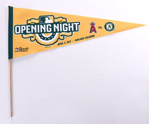 Polyester Flag-Hand Flag-003